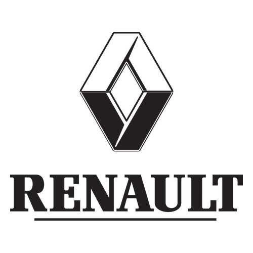 Боковое зеркало заднего вида RENAULT 963029938R в Татнефть