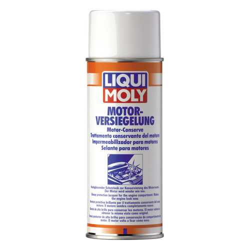 Спрей для внешней консервации двиг. LIQUI MOLY Motor-Versiegelung (0,3л) в Татнефть