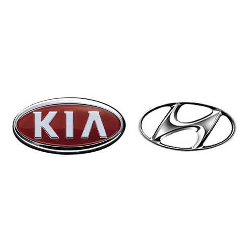 Форсунка омывателя Hyundai-KIA 984603E500 в Татнефть