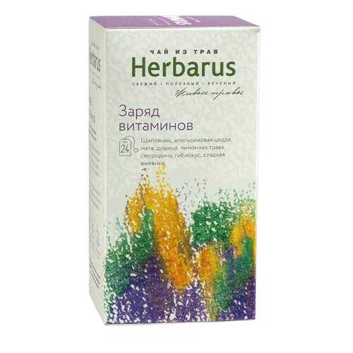 Чай из трав Herbarus пакетированный заряд витаминов 24 пакетиков в Татнефть