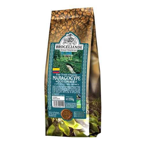 Кофе молотый Broceliande maragogype Colombie 250 г в Татнефть